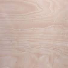 Image result for Centrolobium robustum