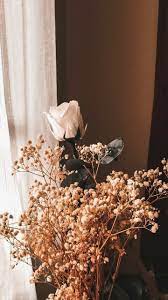 Baby Breath Flower Wallpaper Posted By Ethan Peltier