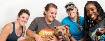 Volunteer - LifeLine Animal Project | Join Us Today