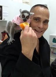 Robert S Stefano Obituary