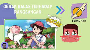 Tumbuhan bergerak balas terhadap cahaya,air, graviti dan sentuhan. Sains Tahun 4 Gerak Balas Terhadap Rangsangan Youtube