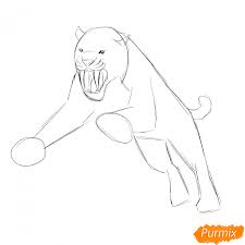 Как нарисовать саблезубого тигра карандашом поэтапно