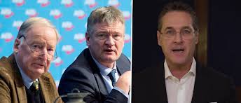Vor allem für die fpö ist das ein fiasko. Afd Chefs Halten Weiter Zur Fpo Strache Meldet Sich Per Video