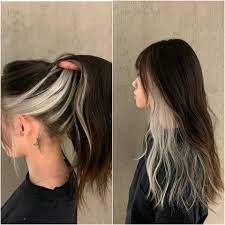 Pin By Gabriela Sicilia On Cabello En Tonos Fantasia Hair Color Underneath Hair Color Streaks Two Color Hair