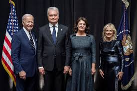 Image result for Bidens diversa