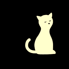 cat 猫