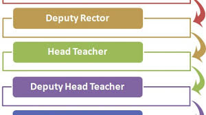 High School Social Hierarchy Hierarchy Structure