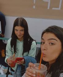 Pin By Meghan Meat On Hype House In 2020 Perfect Sisters Dixie Bestie Goals