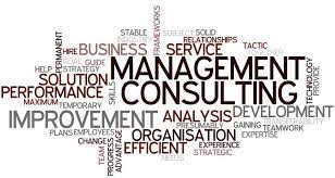 Management Consultant Job Description - Qualifications, Skills, Roles