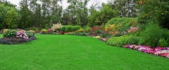 Mckinney was named the #1 place to live in america by money magazine in 2014, and we can completely understand why. Double D Landscapes Landscaping Design Installation And Maintainence
