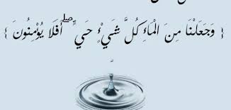 أهمية الماء للإنسان موضوع
