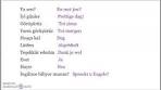Turkish - Dutch (Turks in the Netherlands) - Learn DUTCH ... - YouTube