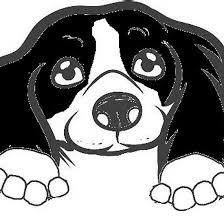 Black And White Spaniel Cartoon Cocker Spaniel Black And White Peeking Cartoon Cocker Spaniel Spaniel Black And White