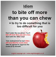 Bite Off More Than You Can Chew Idiom Pin By Manojmundotia On English Grammar English Writing Learn English English Idioms