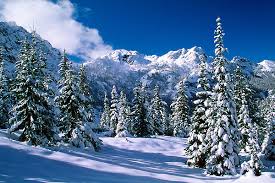 Two weeks of exciting biathlon competitions are ahead of us and the pool of favourites for medals is wide. Pokljuka Plateau Think Slovenia