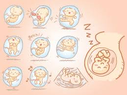 Bayi semakin besar sehingga kehabisan ruang untuk bergerak. Follow Your Fancy Normalkah Bayi Dalam Kandungan Lebih Aktif Bergerak Bila Malam