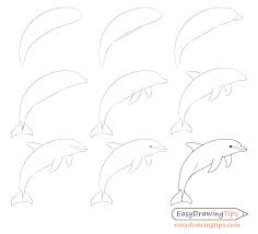 Our samurai character would be drawn standing with his legs far apart. How To Draw A Dolphin Step By Step Easydrawingtips