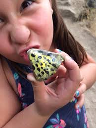 Scuba diving finds: sparkle rock with writing