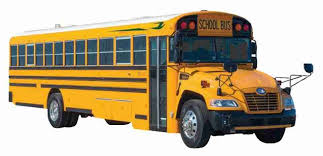 Image result for Federal Standard Yellow 1969 Bluebird