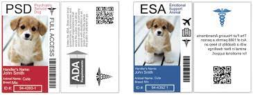Check spelling or type a new query. All About The Id Cards Emotional Pet Support