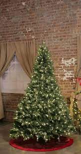 One Tree With Expandable Height From 7 Ft To 10 Ft Spruce Christmas Tree Christmas Tree Tree