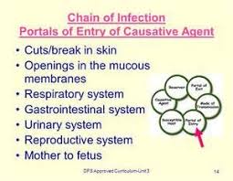 Portal Of Entry For Infection Infections Infection Control Chain Of Infection