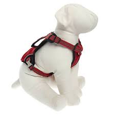 Kong Reflective Pocket Harness Harnesses Petsmart