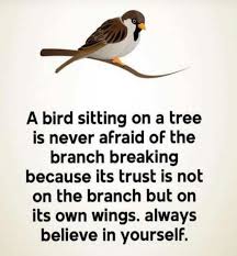 Loves reading, writing, workout, football, music, movies. Think Positive To Make Things Positive A Bird Sitting On A Tree Is Never Afraid Of The