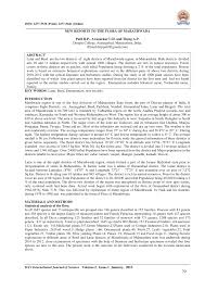 Image result for Oedina congdoniana