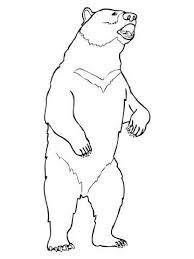Moon Bear Coloring Pages Check More At Http Prinzewilson Com Moon Bear Coloring Pages Grizzly Bear Drawing Bear Coloring Pages Bear Drawing