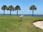 Cove Cay Golf | Experience Golfing Bliss Along Tampa Bay