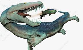 Image result for Nothosaurus