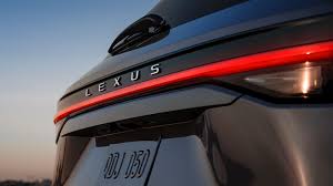 Image result for Caviar 2025 TX