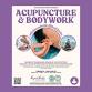 Acupuncture and Bodywork with Acupuncturists... event in Mt Rainier, MD