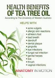 Tea Tree Oil By Proteamundi Tea Tree Oil Benefits Tea Tree Oil Uses Oils