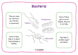 Types Of Germs Sorting Activity Wordunited In 2020 Sorting Activities Free Science Printables Activities