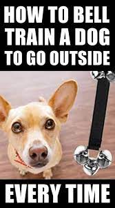 How To Train A Dog To Ring A Bell To Go Outside Training Your Dog Best Dog Training Dog Potty Training