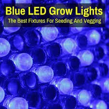 We did not find results for: Blue Led Grow Lights Best Fixtures For Seeding And Vegging