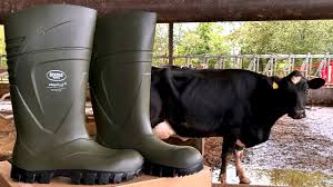 My New Bekina Boots Arrive! - YouTube