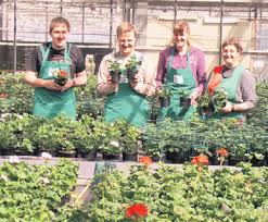 Presse Bio Garten Flechtdorf Gmbh Aktuelles