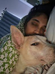 Dog finds forever home and settles in