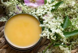 Oct 01, 2019 · harvesting and preparing for use. Elderflower Rosehip Salve
