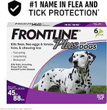 Amazon Com Frontline Plus Flea And Tick Treatment For Dogs Large Dog 45 88 Pounds 6 Doses Pet Flea Drops Pet Supplies