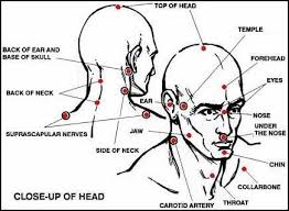 Deadly Pressure Points Discover The Top 5 Death Touch