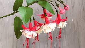 Abc Tv How To Make Double Fuchsia Paper Flower With Shape Punch Craft Tutorial Youtube