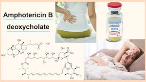 Image result for Amphotericin B