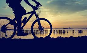 Because life sometimes gets in the way of vacations. What We Cover Eta Cycle Insurance Britain S Most Ethical Insurer