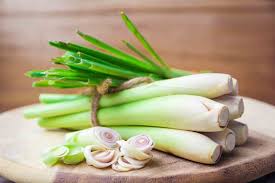 In manufacturing, lemongrass is used as a fragrance. Lemongrass Substitutes The Best List For Finding Lemongrass Substitutes