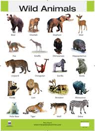 Wild Animals Hi Res Copy Wild Animals Pictures Animal Pictures For Kids Animals Name With Picture