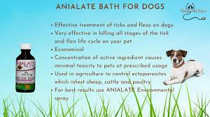 Carol osborne, dvm, paaws pet vitamins and vitalife pet supplements. Total Pet Care Pet Supplies Company Limited Home Facebook